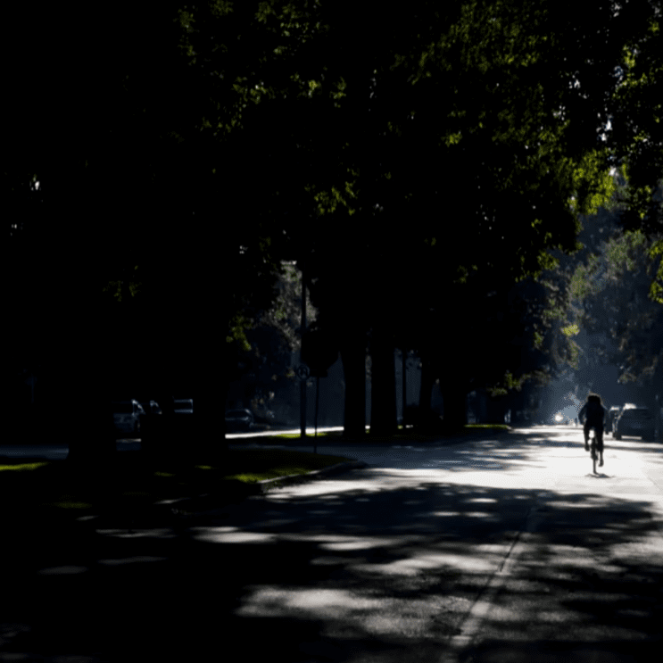 Sweeney's Ride to School Slideshow